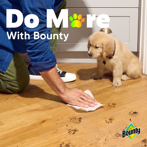 Bounty Select-A-Size Paper Towels, 2 Double Rolls, White, 90 Sheets Per Roll