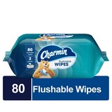 Charmin 2-Pack Flushable Wipes, 40 wipes per pack (80 total), thumbnail image