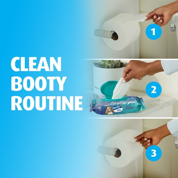 Charmin 2-Pack Flushable Wipes, 40 wipes per pack (80 total)