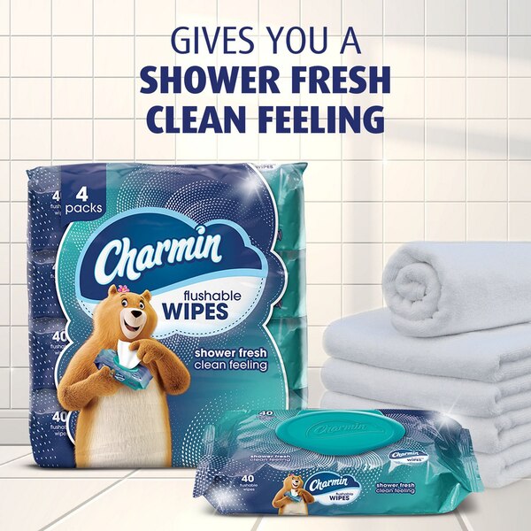Charmin 2-Pack Flushable Wipes, 40 wipes per pack (80 total)