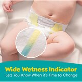 Pampers Swaddlers Diapers, thumbnail image