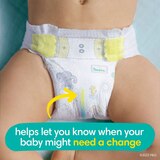Pampers Swaddlers Diapers, thumbnail image