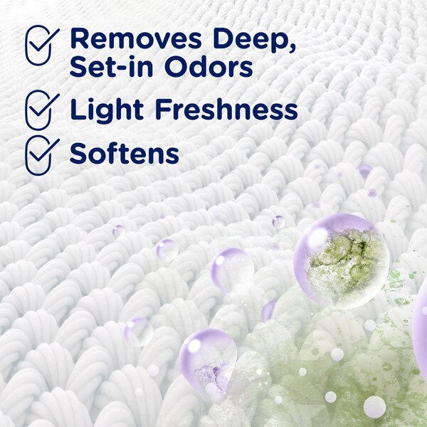 Downy Rinse Out Odor Fabric Rinse, Fresh Lavender Scent, 48 oz