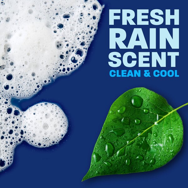 Dawn Platinum Dishwashing Liquid Dish Soap Refreshing Rain