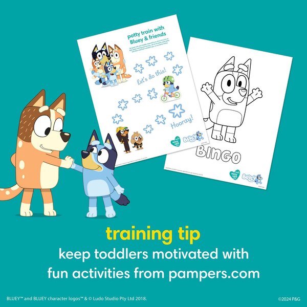 Pampers Easy Ups Boys Training Underwear