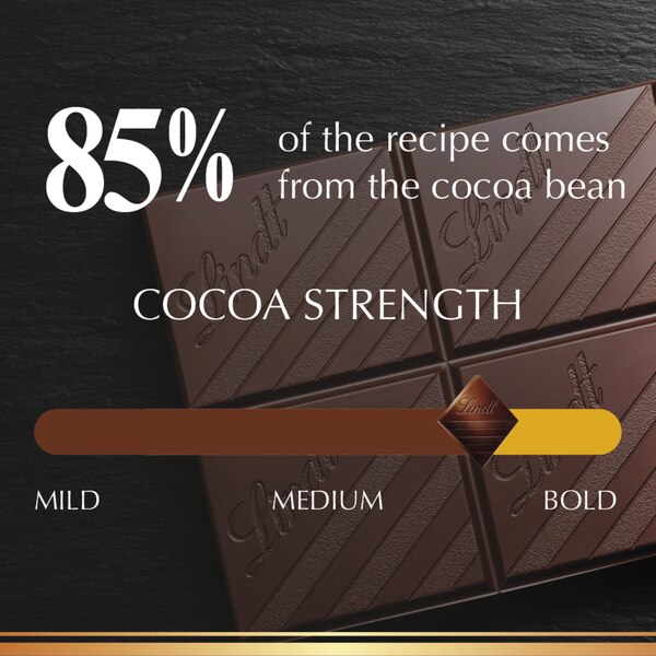 Lindt Excellence 85% Cocoa Dark Chocolate Candy Bar, Dark Chocolate, 3.5 oz