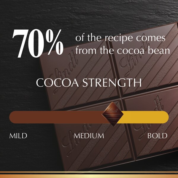 Lindt Excellence 70% Cocoa Dark Chocolate Candy Bar, Dark Chocolate, 3.5 oz