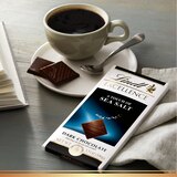 Lindt Excellence Sea Salt Dark Chocolate Candy Bar, 3.5 oz, thumbnail image