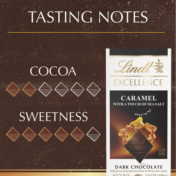 Lindt Excellence Caramel Sea Salt Dark Chocolate Candy Bar, 3.5 oz