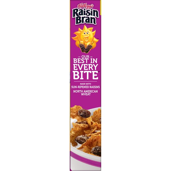 Raisin Bran Breakfast Cereal