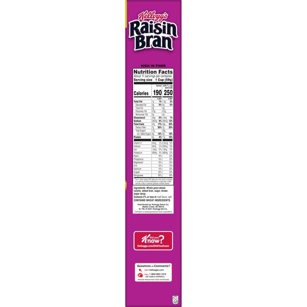 Raisin Bran Breakfast Cereal