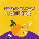 Aussie Miracle Curls Shampoo, 12.1 OZ, thumbnail image