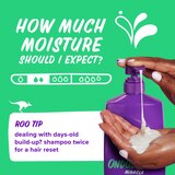 Aussie Miracle Waves Anti-Frizz Hemp Shampoo, 26.2 OZ, thumbnail image