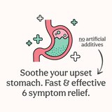 Wonderbelly Multi Symptom Chewable Tablet Vanilla Bean, 48 CT, thumbnail image