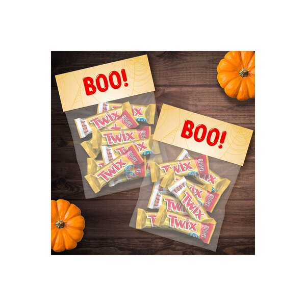 Twix Fun Size Caramel Cookie Chocolate Bars - 10.83 oz Bulk Candy Bag