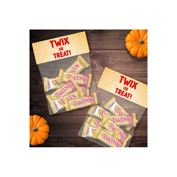 Twix Caramel Fun Size Chocolate Cookie Candy Bars 18.28 oz Bag