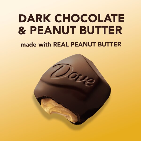 Dove Large Promises Dark Chocolate Peanut Butter Candy, 2.75 oz