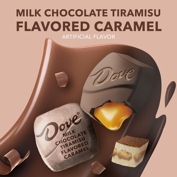 Dove Milk Chocolate Tiramisu Flavored Caramel, 6.74 oz