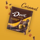 Dove Promises, Milk Chocolate & Caramel Candy Bag, 6.74 Oz, thumbnail image