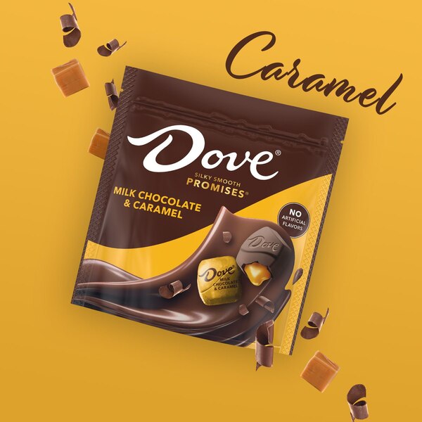 Dove Promises, Milk Chocolate & Caramel Candy Bag, 6.74 Oz