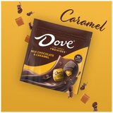 Dove Promises, Milk Chocolate & Caramel Candy Bag, 6.74 Oz, thumbnail image 3 of 7
