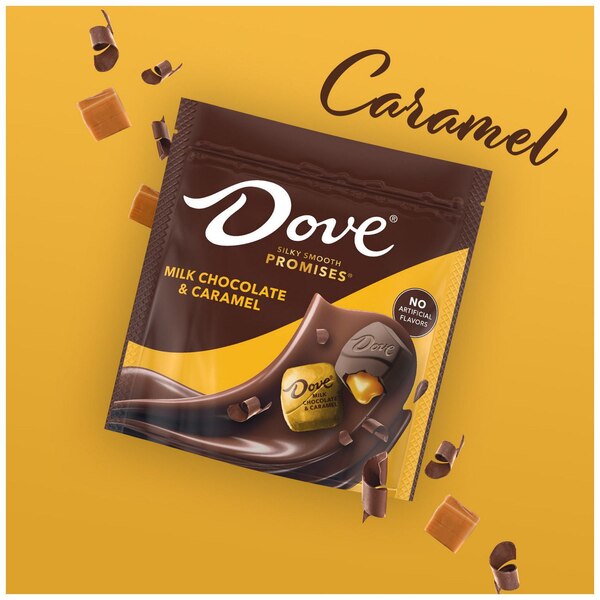 Dove Promises, Milk Chocolate & Caramel Candy Bag, 6.74 Oz