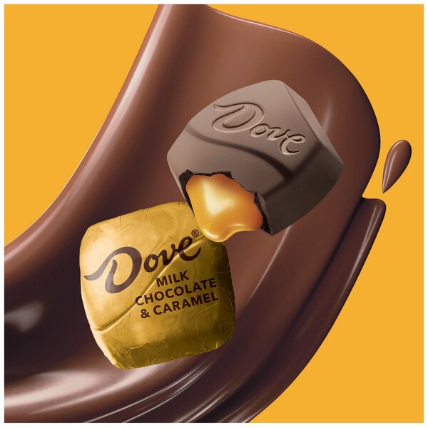 Dove Promises, Milk Chocolate & Caramel Candy Bag, 6.74 Oz