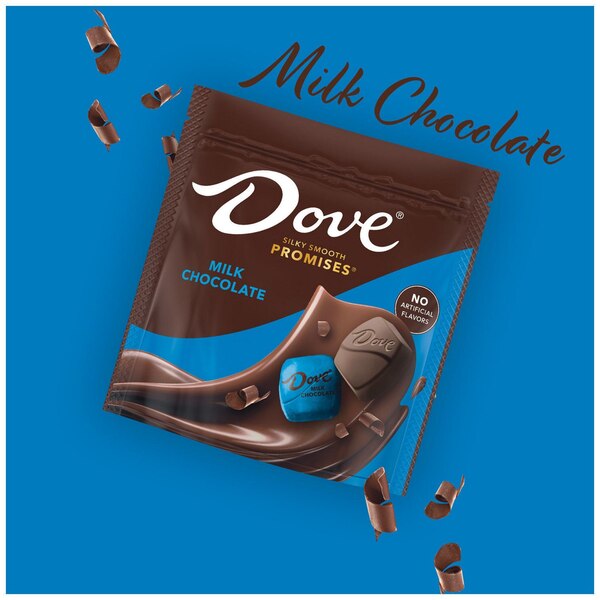 Dove Promises, Milk Chocolate Candy Bag, 7.61 Oz