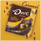 Dove Promises, Milk Chocolate & Caramel Candy Large Bag, 12.67 Oz, thumbnail image