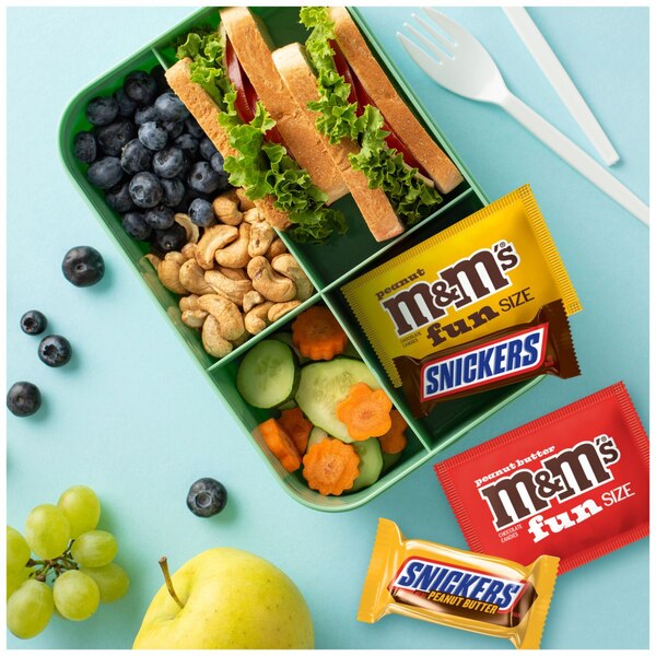 Snickers & M&M's, Peanut Lover Candy Chocolate, Large Variety Bag, 22.66 oz