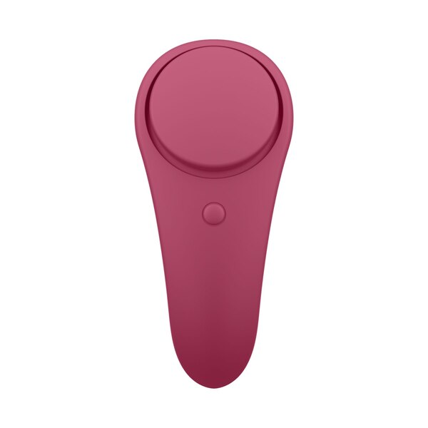 Satisfyer Sexy Secret Panty Vibrator