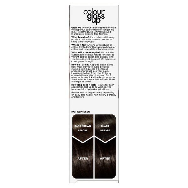 Clairol Color Gloss Up Temporary Hair Dye