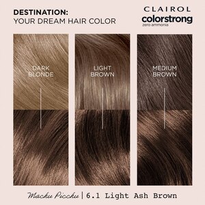 Clairol ColorStrong Zero Ammonia Permanent Hair Color, 10.0 Extra Light Blonde Big Sur, 6.4 Light Copper Brown Red Desert, 6.3 Light Golden Brown Cairo, 6.1 Light Ash Brown Machu Picchu, 5.3 Medium Golden Brown Cape Town, 7.0 Dark Blonde Saint-Tropez, 8.63 Sunset Rose Coral Sands, 5.65 Sunset Mahogany Miami Nights, 7.1 Dark Ash Blonde Bora Bora, 5.0 Med Brown Tuscany, 1.0 Black Hawaii, 4.0 Dark Brown Barcelona, 6.0 Light Brown Rome,  2.8 Blue Black Desert Nights, 3.0 Darkest Brown Havana, 8.0 Medium Blonde Malibu, 4.63 Sunset Mauve Fiji Sunset, 8.1 Medium Ash Blonde Key West