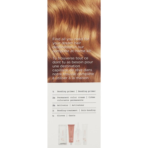 Clairol ColorStrong Zero Ammonia Permanent Hair Color