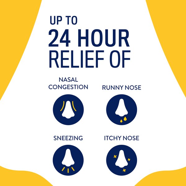 Astepro 24HR Steroid Free Allergy Relief Spray, Azelastine HCl