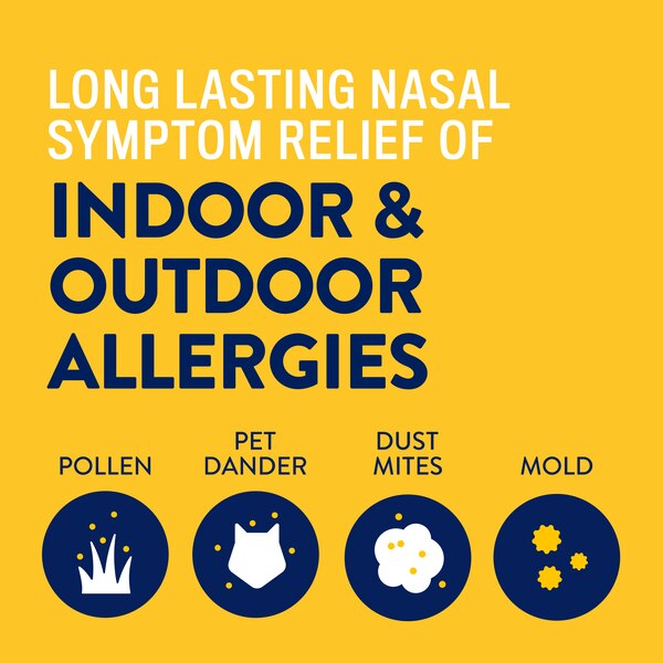 Astepro 24HR Steroid Free Allergy Relief Spray, Azelastine HCl