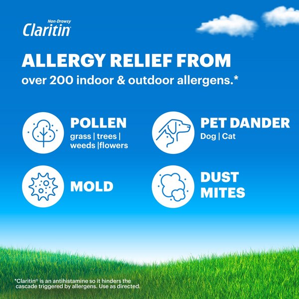 Claritin 24HR Non Drowsy Allergy Relief Tablets
