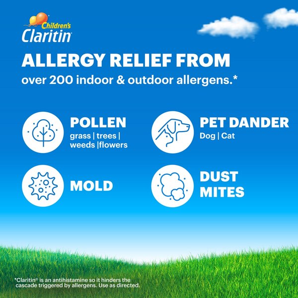 Claritin Children's Non-Drowsy 24HR Allergy Relief Chewable Tablets, Grape