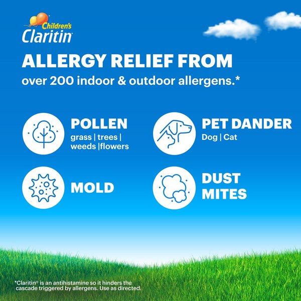 Claritin Children's Non Drowsy Allergy Relief Liquid