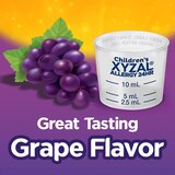 Children's Xyzal 24HR Allergy Relief Liquid, Grape, 10 OZ, thumbnail image