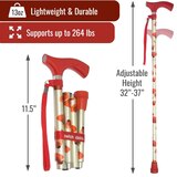 DMI Switch Sticks Floral Cane, thumbnail image