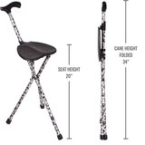 DMI Switch Sticks Cane with Seat, thumbnail image