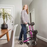 Mabis Gateway Rollator, thumbnail image
