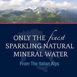 S.Pellegrino Sparkling Natural Mineral Water, 33.8 fl oz, thumbnail image