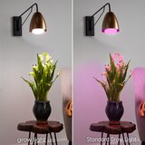 GE Grow Light LED 9W Advanced Red Light Spectrum BR30 Light Bulb (1-Pack), thumbnail image 4 of 5