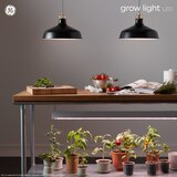 GE Grow Light LED 9W Advanced Red Light Spectrum BR30 Light Bulb (1-Pack), thumbnail image 5 of 5