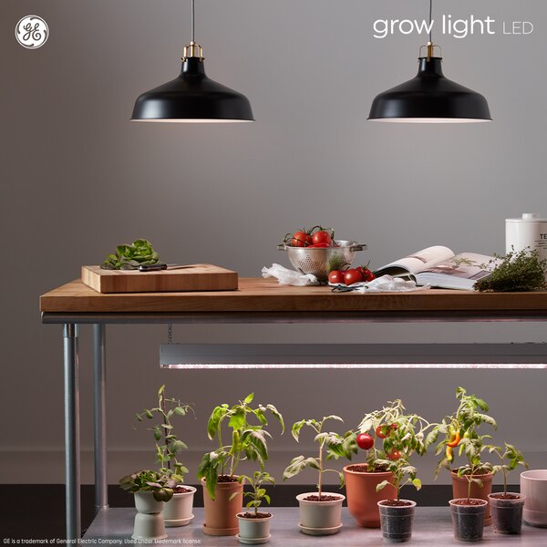 GE Grow Light LED 9W Advanced Red Light Spectrum BR30 Light Bulb (1-Pack)