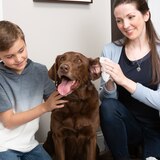 Wahl Pet Refresh Lavender Cleaning Wipes, 50ct, thumbnail image