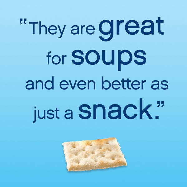 Nabisco Premium Saltine Crackers