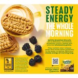 belVita Breakfast Biscuits, thumbnail image